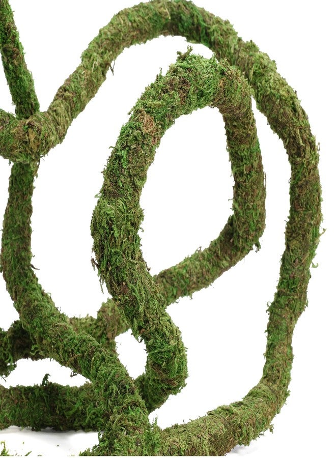USMOLA Moss Vine for Reptiles, Bendable Climbing Vines Reptile Tank Accessories, Natural Moss Rope for Leopard Gecko, Lizard, Snake, Chameleon, Frog Terrarium Decor (Jungle Green, 9.8 FT) - Image 4